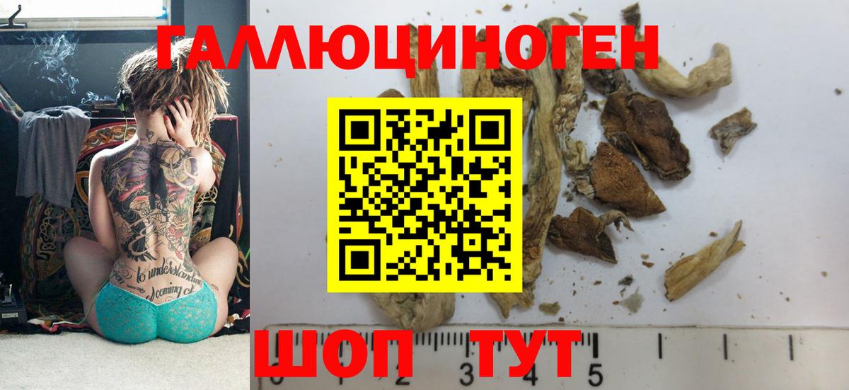Псилоцибиновые грибы Cubensis  Вход с VPN  Псилоцибиновые грибы Magic Shrooms  Бердск 
